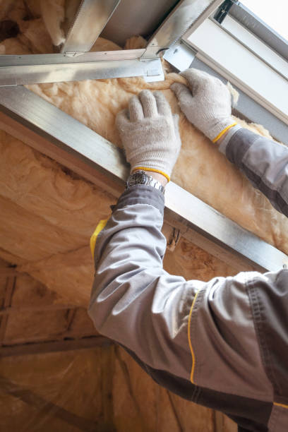 Best Insulation Maintenance and Repair in Durant, IA